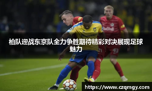 南宫NG28